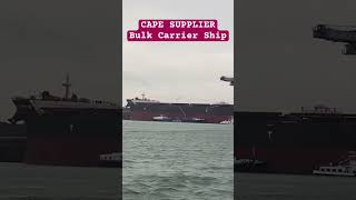 CAPE SUPPLIER Bulk Carrier  Spotted Europort Rotterdam Netherlands 🛟⚓️ subscribe marinoph ofw [upl. by Cichocki]