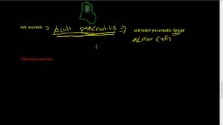 9  Macro Morphology of necrosis continued  Caseous necrosis fat necrosis Fibrinoid necrosis [upl. by Innavoeg655]