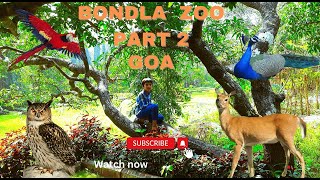 Bondla Wildlife Sanctuary Part 2  famous sanctuary of Goa Bondla Zoo [upl. by Leipzig78]