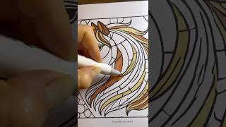 🌈🩷‼️ BOLD COLORING TIME art painting artist librosparacolorear mercadolibreargentina asmr [upl. by Askari]