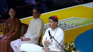 Cardinal Chito Tagles Testimony and His Beg for Pardon [upl. by Anelle]