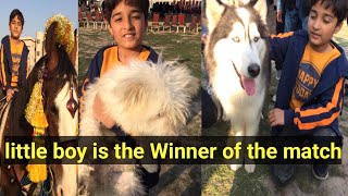 Dog show  Horse Show  cricket Match  Love letter Little boy winner of the match  Fun Happiness [upl. by Premer]