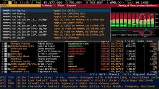 Bloomberg Terminal Part 1  Quick Introduction to Basic Functions [upl. by Virgil]