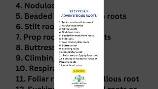 13 Types of ADVENTITIOUS ROOTS biologybloom [upl. by Allenad272]