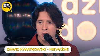 DAWID KWIATKOWSKI  NIEWAŻNE  Dzień Dobry TVN [upl. by Irrej]