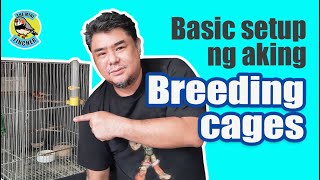 Ep20 Basic breeding cage setup [upl. by Dionysus883]