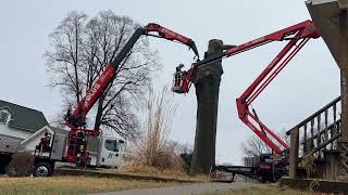 NEW Fassi 600 grapplesaw crane 3rd largest pin oak in Nebraska [upl. by Routh614]