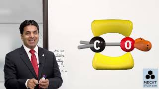 2nd Year Chemistry  CH  12  LEC  3  Carbonyl Group  PGC Lectures [upl. by Xenophon]