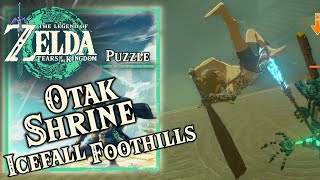 Zelda Tears of the Kingdom  Otak Shrine  Proving Grounds Traps Puzzle  Icefall Foothills Cave [upl. by Aihsa]