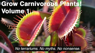 Grow Carnivorous Plants Volume 1  Venus Flytraps Sarracenia and Other Cold Hardy Plants [upl. by Illah]