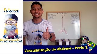 Vascularização do Abdome  PARTE 1  Futuros Anatomistas [upl. by Aikenahs189]