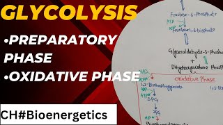 Glycolysis class 11  Cellular Respiration in plants [upl. by Wulfe]