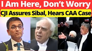 CJI Assure Sibal Hears CAA Case Dont Worry I Am Here lawchakra supremecourtofindia analysis [upl. by Coombs]