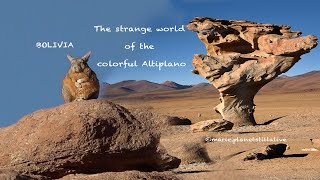 Bolivia  The strange world of the colorful Altiplano [upl. by Neelasor]