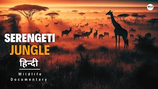 Serengeti Jungle Africa  हिन्दी डॉक्यूमेंट्री  Wild animals documentary in Hindi [upl. by Aredna]