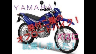 試乗XTZ125に試乗しました！ CBR250RRmc51 [upl. by Sullecram]