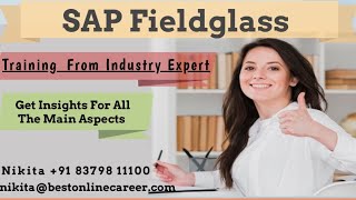 SAP Fieldglass Demo Session  SAP Fieldglass Tutorial for beginners  CIG  CI9  SOW  Configs [upl. by Oicnanev]