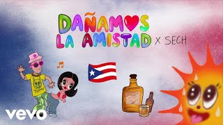 KAROL G Sech  Dañamos La Amistad Visualizer [upl. by Nodnyl609]