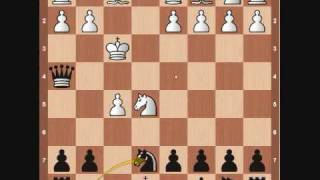 Chess Openings Latvian Gambit [upl. by Valenta]