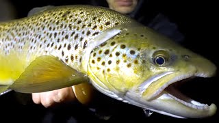 Nighttime Fly Fishing for Brown Trout MOUSING [upl. by Gnouhc993]