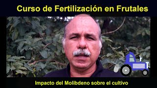 El Molibdeno en ínfimas cantidades afecta a toda la planta Curso de Fertilización en frutales [upl. by Bernette311]