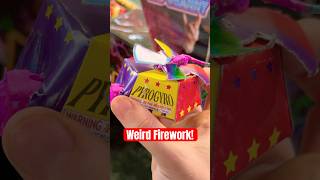 What does this Firework Do experiment fireworks shorts [upl. by Wolk]