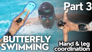 Butterfly Swimming Series Part 3 quotHand amp Leg Coordinationquot Swimming Tips for Beginners [upl. by Shere513]