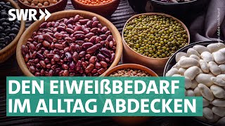 Eiweißbombe Bohnen Kreative Rezepte zum Nachkochen  Marktcheck SWR [upl. by Fulvia]