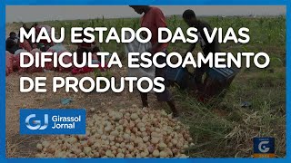 A Mulemba é um dos maiores produtores de cebola – Girassol Jornal [upl. by Nido]