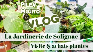 Visite de la Jardinerie Solignac 31 amp achats plantesdinterieur VLOG [upl. by Zhang]