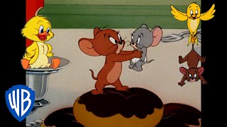 Tom amp Jerry  Jerrys Best Allies 🐭  Classic Cartoon Compilation  wbkids​ [upl. by Amado]