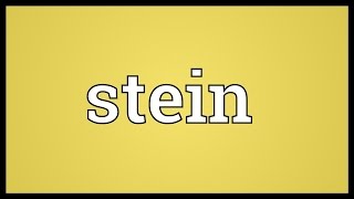 Stein Meaning [upl. by Hochman]