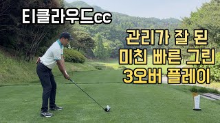 티클라우드cc 버디1개 보기4개 플레이 영상 [upl. by Rainwater534]