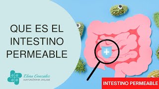 🔥 Que es el Intestino Permeable  Elena González 🔔✅ [upl. by Niklaus]