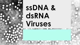 Basic Clinical Virology 04  ssDNA dsRNA VIRUSES Mahon 7th ed [upl. by Aisak]