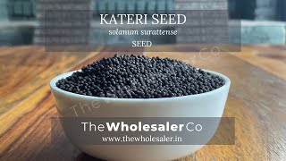 Kateri seed  Solanum surattense  TheWholesalerCo [upl. by Immij]