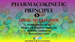 Pharmacokinetic Principle  Metabolism of drug [upl. by Abbe]