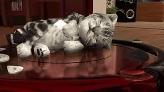 Cat Simulator Kitty Craft  Part 55 By HGames Artworks  Good Cat On  Gameplay HD [upl. by Gnay]