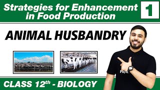 Strategies for Enhancement in Food Production 01 Animal Husbandry  Class 12 NCERT [upl. by Springer]