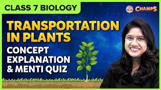 Transportation in Plants  Concept Explanation and Menti Quiz  Class 7  Science Biology  BYJUS [upl. by Sharman203]