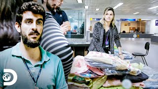 Equipe revista as bagagens de três voos domésticos  Aeroporto  Área Restrita  Discovery Brasil [upl. by Olinde476]