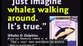 Seminar 4  Lies in the Textbooks Dutch subtitles [upl. by Tabbie436]