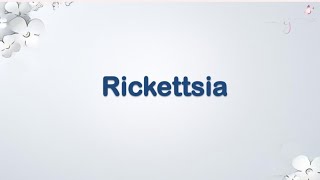 Rickettsia amp Coxiella [upl. by Attekal]