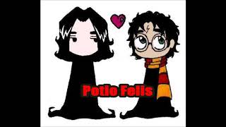 Snarry Fanfiction  Potio Felis  Kapitel 4 [upl. by Nudnarb]