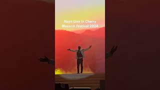 Akon Live in Cherry Blossom Festival 2024 shorts ytshorts concert liveconcert [upl. by Olav]