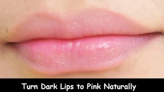 Turn Dark Lips to Soft Pink Lips Naturally in Winter [upl. by Montagu865]