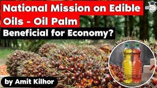 Oil Palm Cultivation under National Mission on Edible Oil Is it beneficial for Indian Economy UPSC [upl. by Stefa]