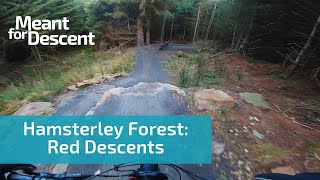 Hamsterley Forest Red Grade MTB Descents  Mountain Biking in Durham [upl. by Eylatan212]