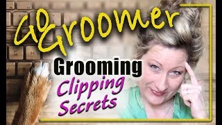 How to ERASE CLIPPER LINES from a Cocker Spaniel DogDog GroomingClipping Secrets [upl. by Ninazan]