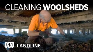 Clearing woolshed sheep poo is a dirty job with some surprising perks 🐑 💩  Landline  ABC Australia [upl. by Nosduh]